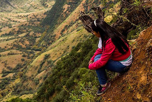 Ingenieria en mecanica