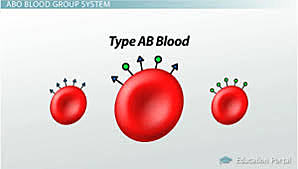 Alfred Decastello: AB