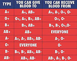 Karl Landsteiner discovered blood types A,B, and O
