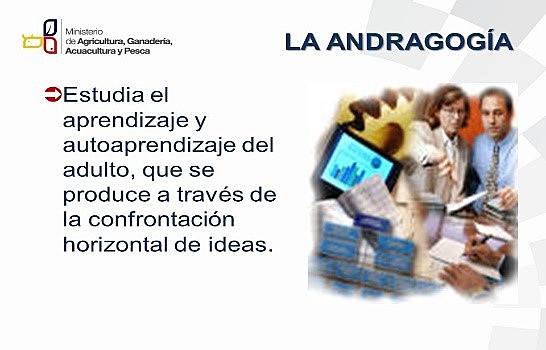 MODELO ANDRAGÓGICO, FUNDAMENTOS