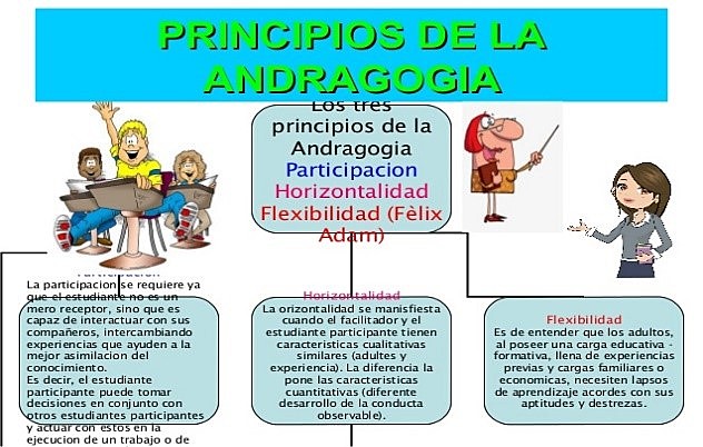 FUENTES CURRICULARES DEL MODELO ANDRAGÓGICO