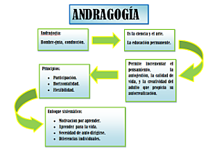 FUENTES CURRICULARES DEL MODELO ANDRAGÓGICO