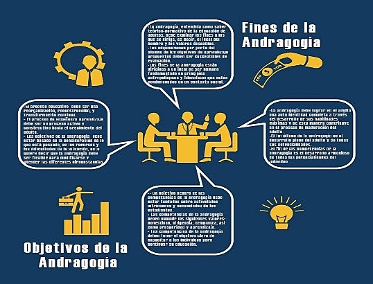 FUENTES CURRICULARES DEL MODELO ANDRAGÓGICO