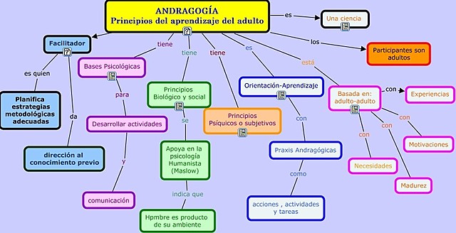 FUENTES CURRICULARES DEL MODELO ANDRAGÓGICO