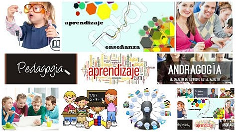 FUENTES CURRICULARES DEL MODELO ANDRAGÓGICO