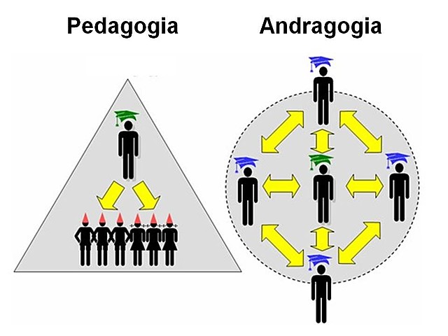 FUENTES CURRICULARES DEL MODELO ANDRAGÓGICO