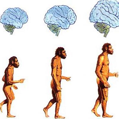 Timeline: La Evolución del Ser Humano