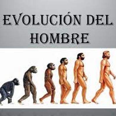 Timeline: Evolución del ser humano