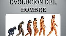 Timeline: Evolución del ser humano