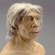 homo sapies neanderrthaliensis