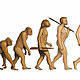 Evolución del hombre