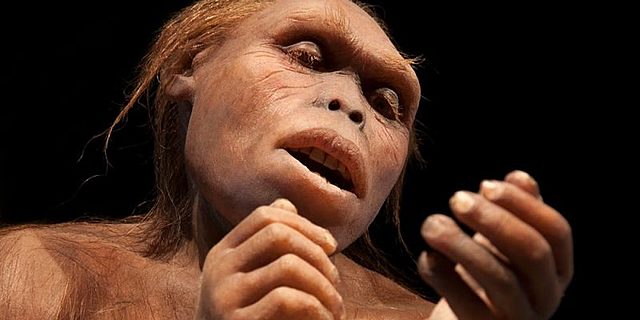 Los pre-australopitecinos