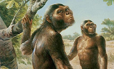 Los pre-australopitecinos