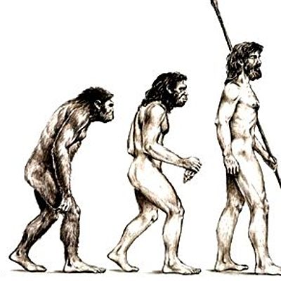 Timeline: Evolución del Hombre