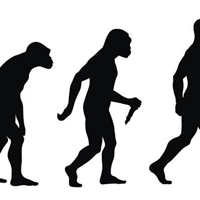 Timeline: EVOLUCION DEL SER HUMANO