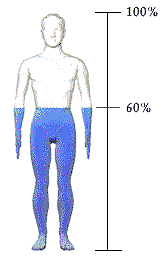 Homo heidelbergensis.