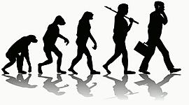 Timeline: Evolución del Hombre