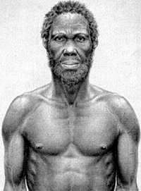 Homo sapiens sapiens. 2