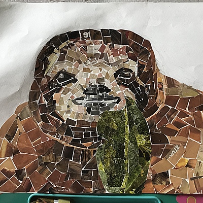 Timeline: Important Events in Pregnancy Project - Kelsey Tombaugh