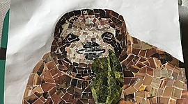 Timeline: Important Events in Pregnancy Project - Kelsey Tombaugh