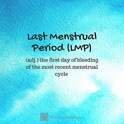 First Date of the Mother’s Last Menstrual Period