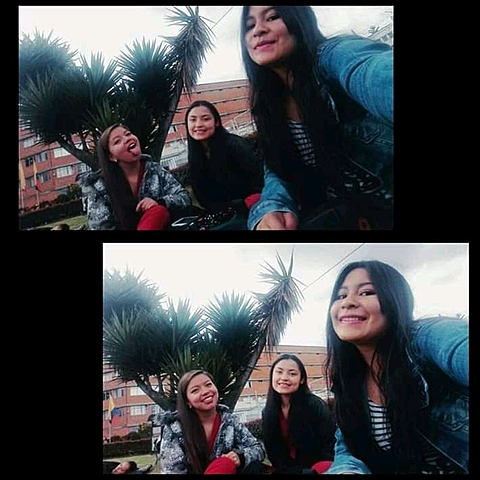 Ingreso a la Universidad