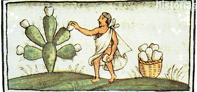 Indumentaria prehispánica hombre