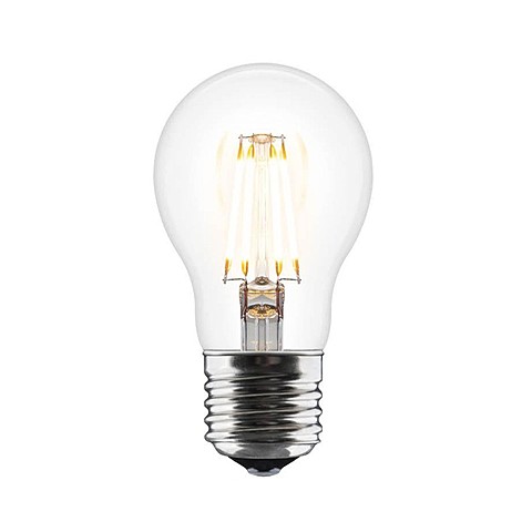 Thomas Edison brings light to the world with the light bulb
