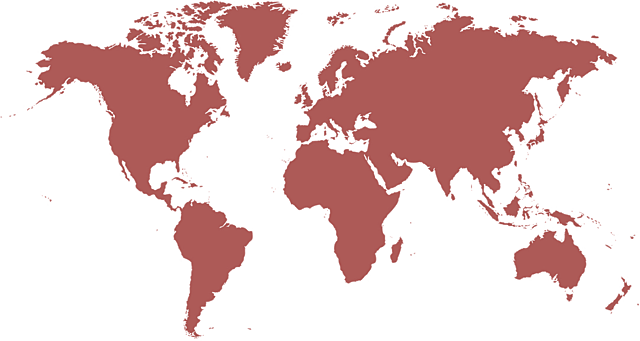 Declaración de Inversión Internacional