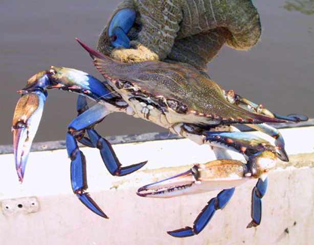 Got my first job. it was a good one.