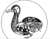 Jacques Vocanson invention du Canard digérateur