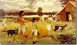 Domesticación de animales