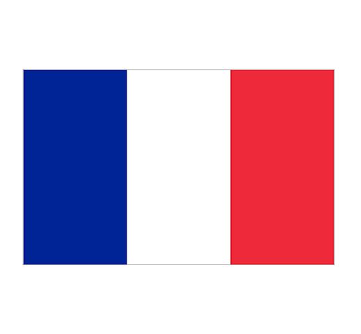 Intercambio a Francia