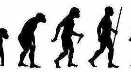 Timeline: EDATS HISTORIQUES