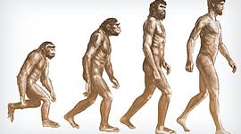 Timeline: Las raíces historicas de España