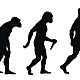 Evolucion humana