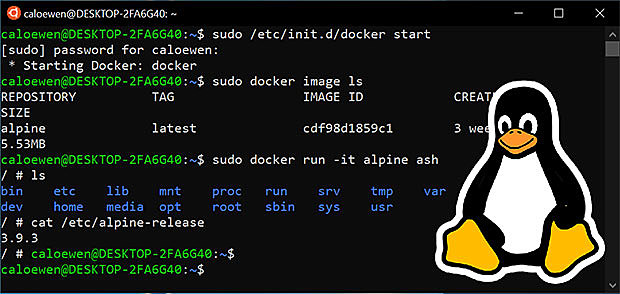 Linus Torvalds començà a treballar en Linux