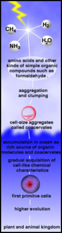 (1894-1980) Oparin's Hypothesis