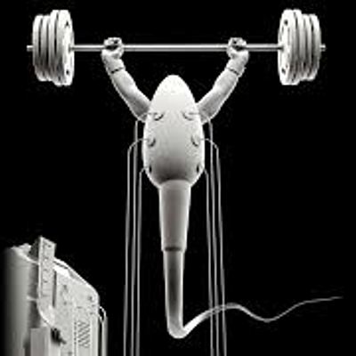 Timeline: Baby Timeline By: Jesse Bowen