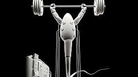 Timeline: Baby Timeline By: Jesse Bowen