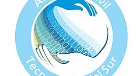 Timeline: Línea de Tiempo - ACTS