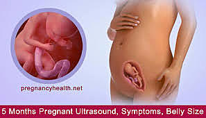 month 5 2nd trimester