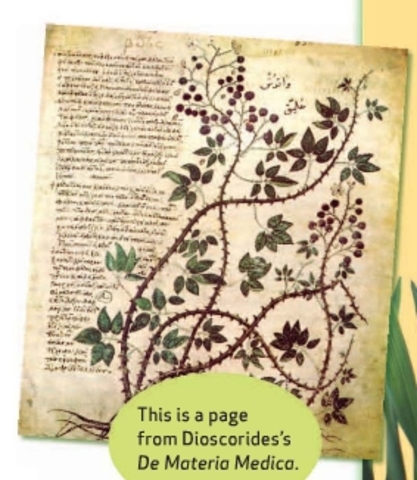 3000-300BC Preliterate/Early