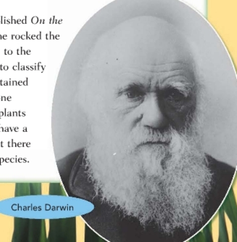 1800's Darwinian Era