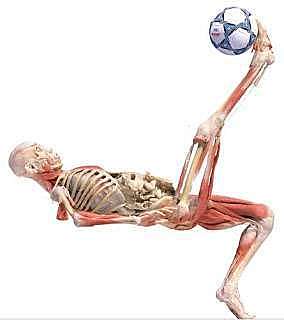 Física terapéutica