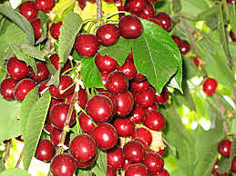 the start of a great adventure