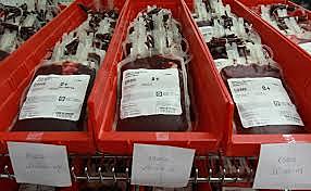 Dr. Bernard Fantus established the first blood bank