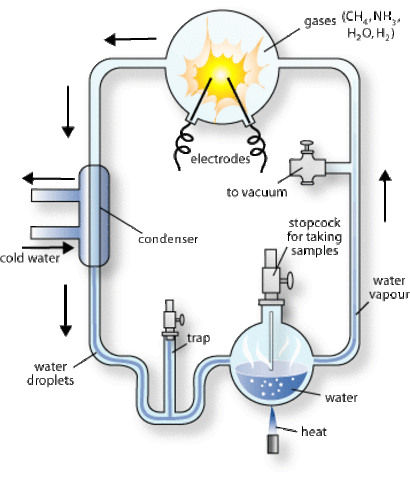 (1952) Urey- Miller Experiment