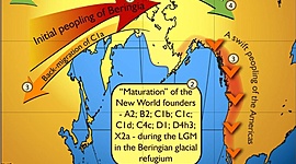 Timeline: The Colombian Exchange Timeline
