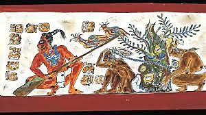 Beginning of the Maya